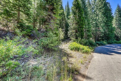 No Address Texas Hill Rd, Emigrant Gap, CA 95715 - photo 6