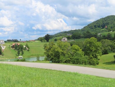 IMG_0438