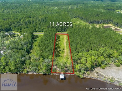 0 La Mare Ln unit 161537, Waverly, GA 31565 - photo 4