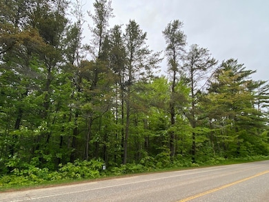 N Whitefish Point Road