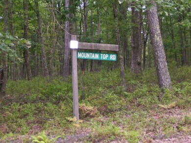 Lot 149 Mountain Top Rd, Lackawaxen Township, PA 18435 - photo 5
