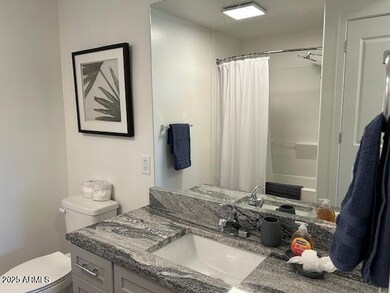 A313 guest bath