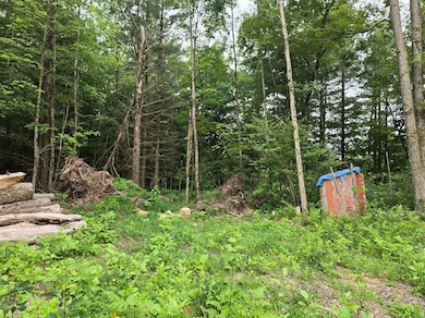 5369 E 68th St, Chase Township, MI 49623 - photo 5