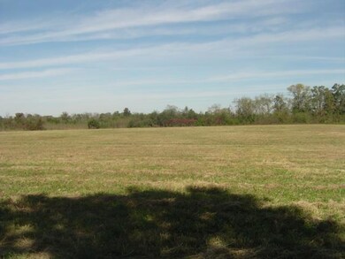 0 Philpot Rd unit 1874190, Bell Buckle, TN 37020 - photo 2