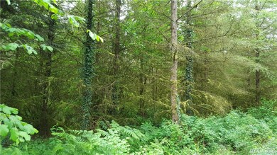 245 Avery Rd W, Winlock, WA 98596 - photo 2