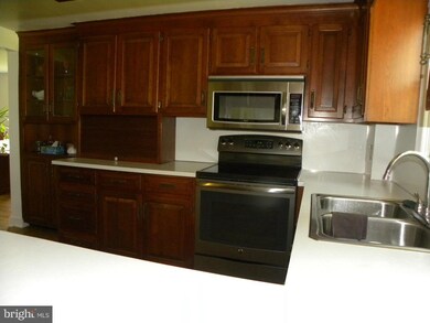 271 Apple Way, Saint Thomas, PA 17252 - photo 3