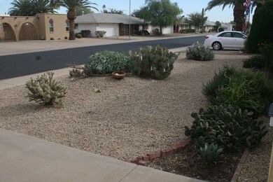 NICE DESERT LANDSCAPING