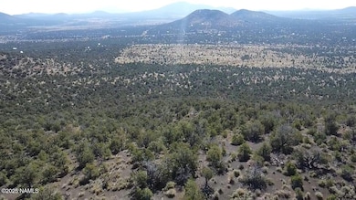 20202016s No Name Rd, Williams, AZ 86046 - photo 3