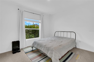 Bedroom 6 (downstairs)