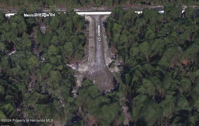 0 unit 2250037, Weeki Wachee, FL 34614 - photo 4