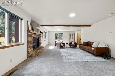 316 N Walnut St, Woodland Park, CO 80863 - photo 4