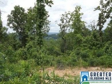 You must see this property and the potential for t