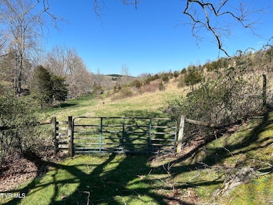 891 Belfast Mills Rd, Cedar Bluff, VA 24609 - photo 5