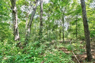 TBD Cr 751, Douglass, TX 75961 - photo 3