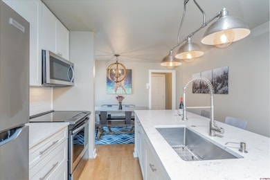 210 S Pine St unit 210, Telluride, CO 81435 - photo 5