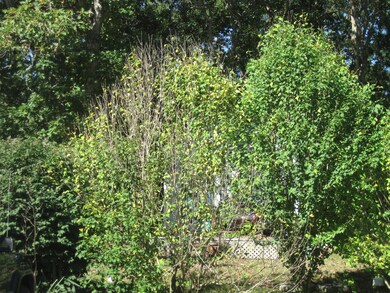 62 18th St S, Edgartown, MA 02539 - photo 7