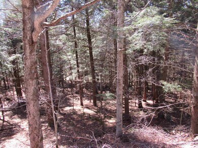 0 Stratton View Rd unit 25, Winhall, VT 05340 - photo 3