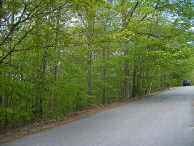 2-9 Mountain View Rd, Bristol, NH 03222 - photo 2