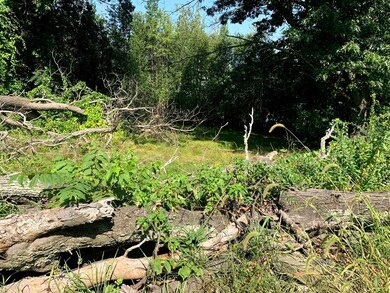 14 Prioulx St, Worcester, MA 01605 - photo 6