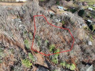 0 High View Dr unit 154225, Hiawassee, NC 28904 - photo 5