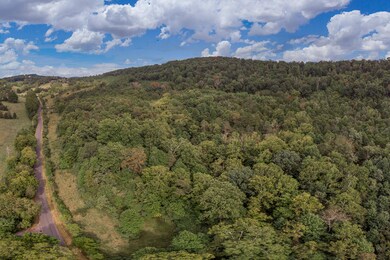 734 Forest Grove Rd unit 703, Lexington, VA 24450 - photo 4