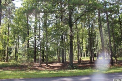 Tract 2-K-A Fallen Timber Dr, Myrtle Beach, SC 29588 - photo 3