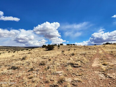 Road up to hill.