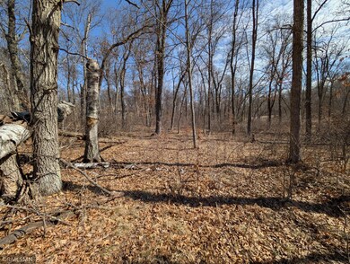 TBD Navaho Trail, Breezy Point, MN 56472 - photo 3