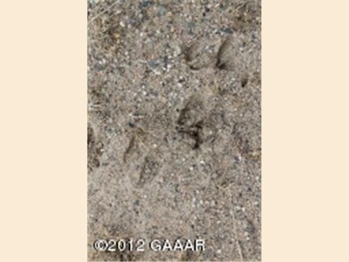 0 Lot 1 Beaver Dam Dr SW unit 4412920, Alexandria, MN 56308 - photo 4