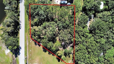 16906 Lakeshore Rd, Lutz, FL 33558 - photo 4