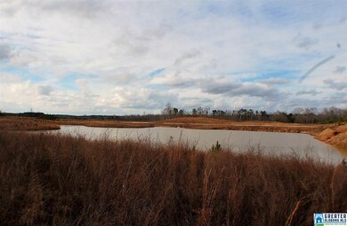 Very large pond will make a great view from the fr