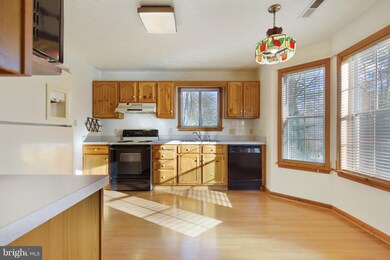 44334 Ivy Stone Ln, California, MD 20619 - photo 5