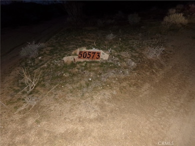 50573 Cholla Rd, Johnson Valley, CA 92285 - photo 3