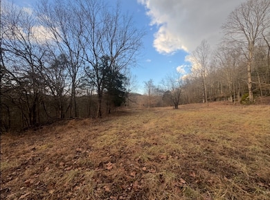 502 Rogues Fork Rd, Westmoreland, TN 37022 - photo 7