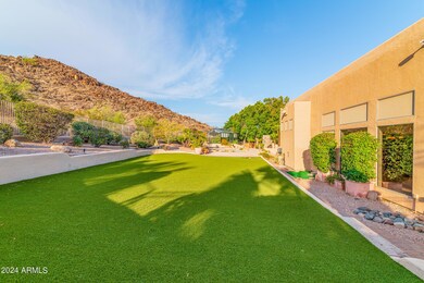 Large Raised Turf Area in Backyard