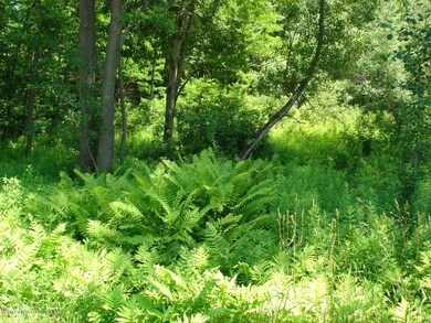 0 Gardner Rd unit GSB131166, Roaring Brook Township, PA 18444 - photo 6