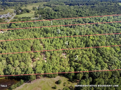 5-web-or-mls-DJI_20250714100728_0034_D-L