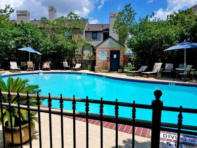 1201 Mcduffie St unit 173, Houston, TX 77019 - photo 4