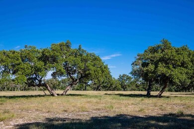0 Last Trail unit 74092, Fredericksburg, TX 78624 - photo 3