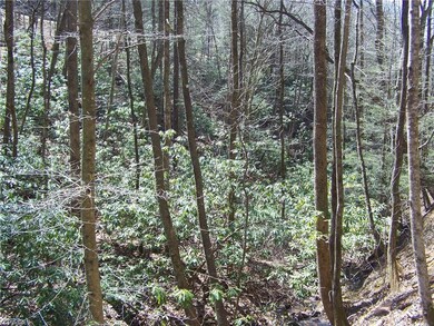 Wooded tract