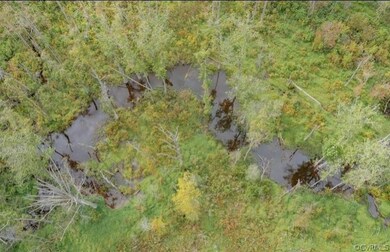 TBD Robin Rd, Prince George, VA 23842 - photo 5