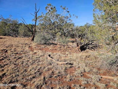 54892 N Potrero Ln, Seligman, AZ 86337 - photo 2