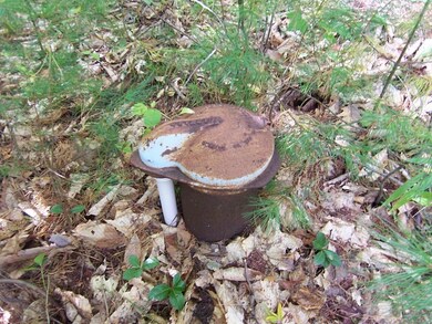 00 Route 108, Livermore, ME 04253 - photo 3