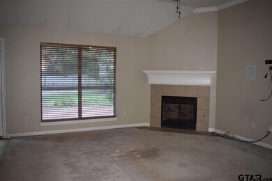 3161 3161 Vineyard Ave, Tyler, TX 75701 - photo 3