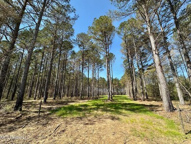 0 Morgan Rd, Canton, MS 39046 - photo 4