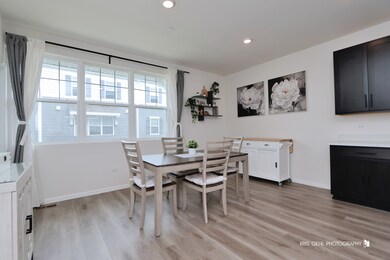 3304 Trillium Cir, Rolling Meadows, IL 60008 - photo 6