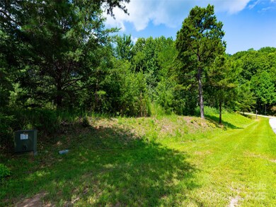 142 Elkton Ct, Mill Spring, NC 28756 - photo 7