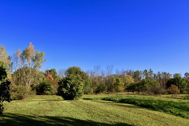 IMG_8522 2