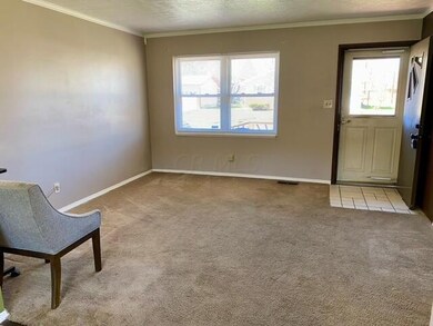 image5 (6)