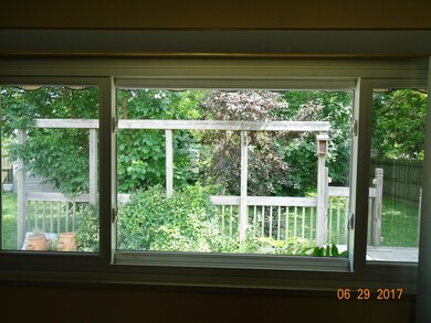 Backyard View from Kitchen